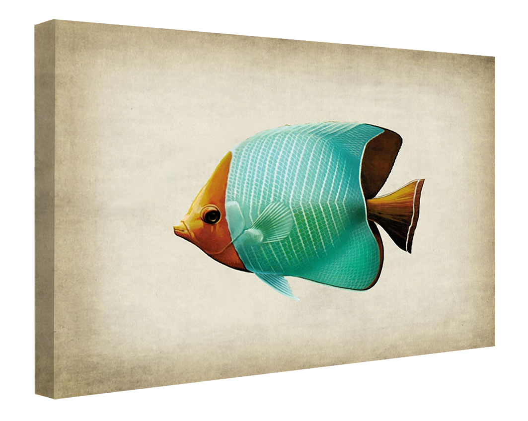 Fish 8-fish, print-Canvas Print - 20 mm Frame-50 x 75 cm-BLUE SHAKER