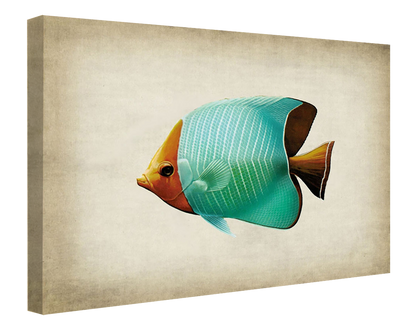 Fish 8-fish, print-Canvas Print - 20 mm Frame-50 x 75 cm-BLUE SHAKER