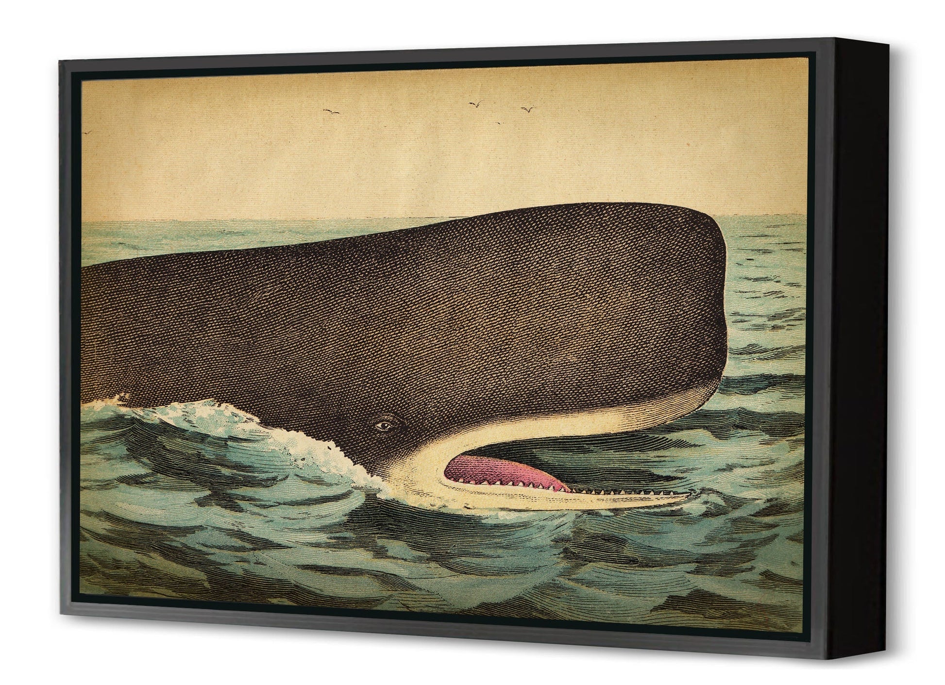 Whale Head-fish, print-Canvas Print with Box Frame-40 x 60 cm-BLUE SHAKER
