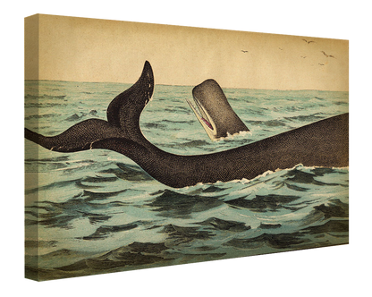 Whale Tail-fish, print-Canvas Print - 20 mm Frame-50 x 75 cm-BLUE SHAKER