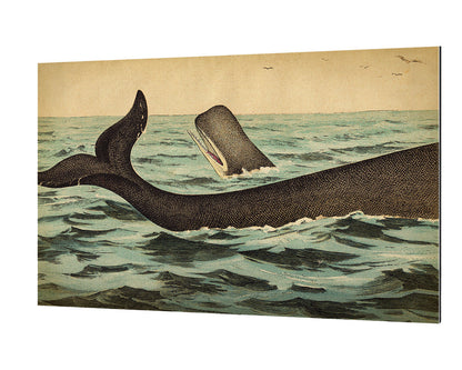 Whale Tail-fish, print-Alu Dibond 3mm-40 x 60 cm-BLUE SHAKER