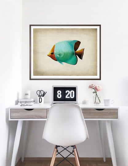 Fish 8-fish, print-BLUE SHAKER