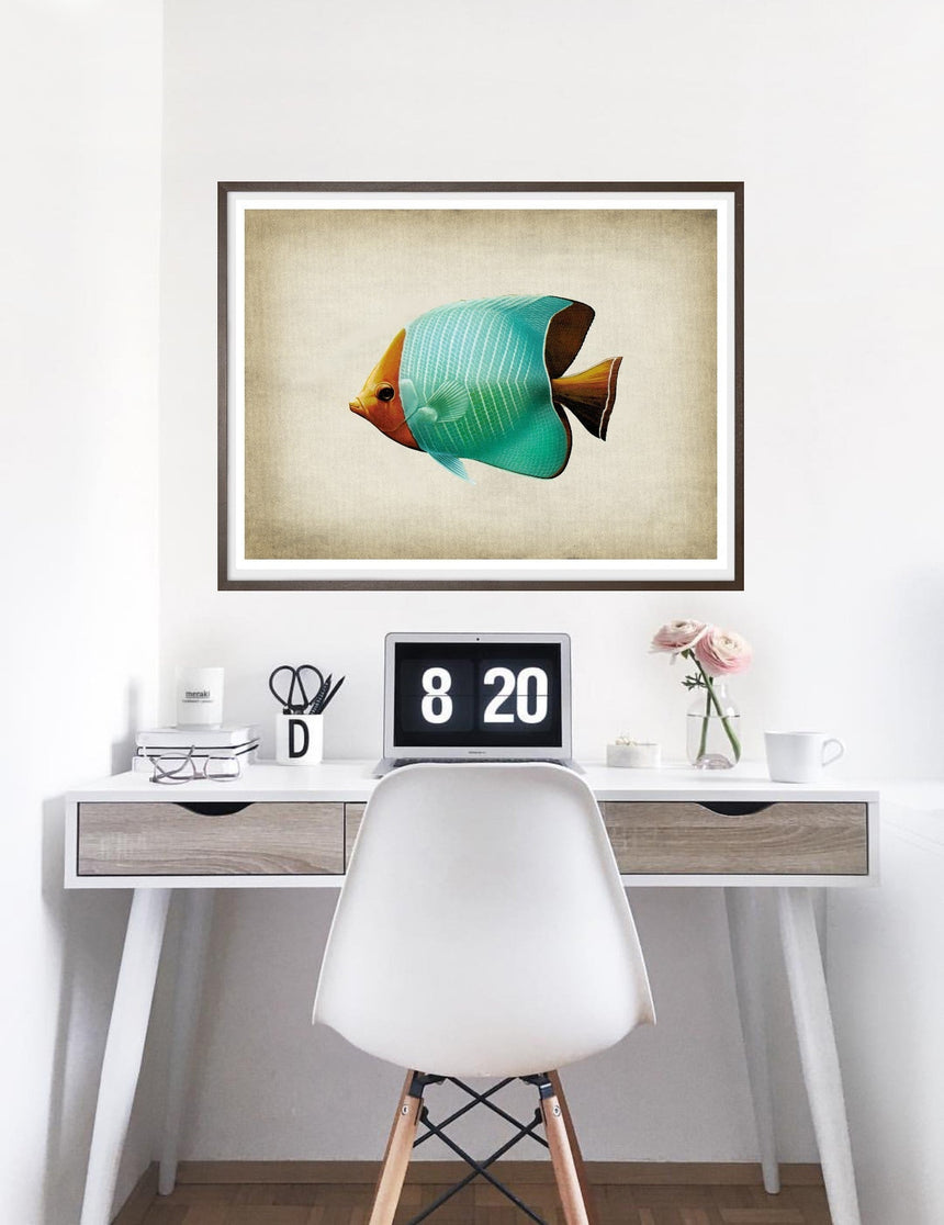 Fish 8 - Blue Shaker - Poster Affiche -