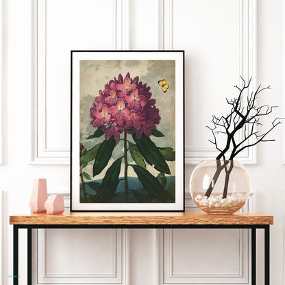 Fl Rhododendron-botanical, print-BLUE SHAKER