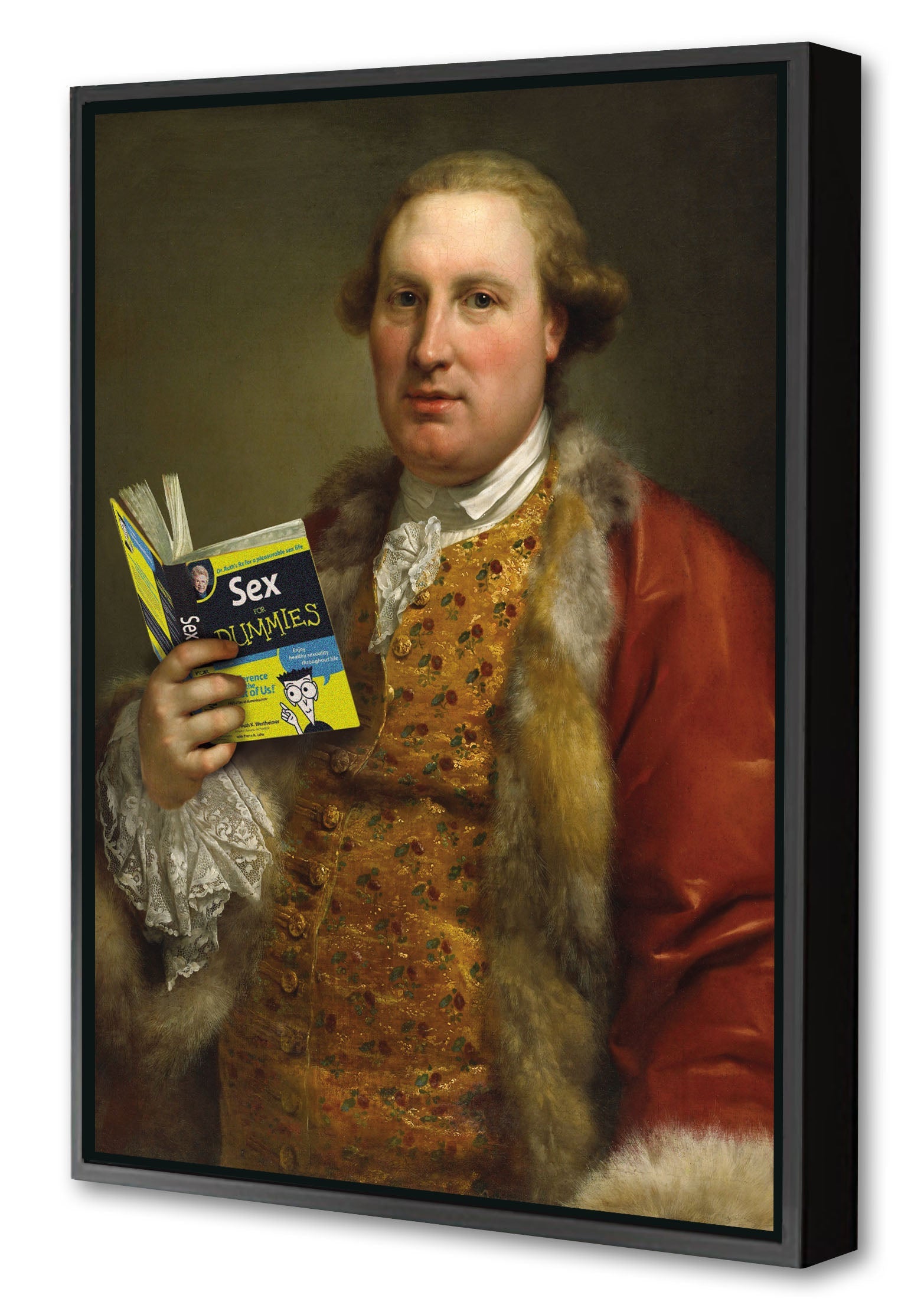 Sex For Dummies-historical, print-Canvas Print with Box Frame-40 x 60 cm-BLUE SHAKER
