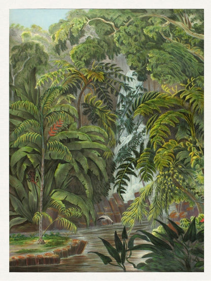 Jungle 1-botanical, print-Print-30 x 40 cm-BLUE SHAKER