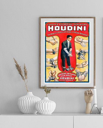 Houdini-magic, print-BLUE SHAKER