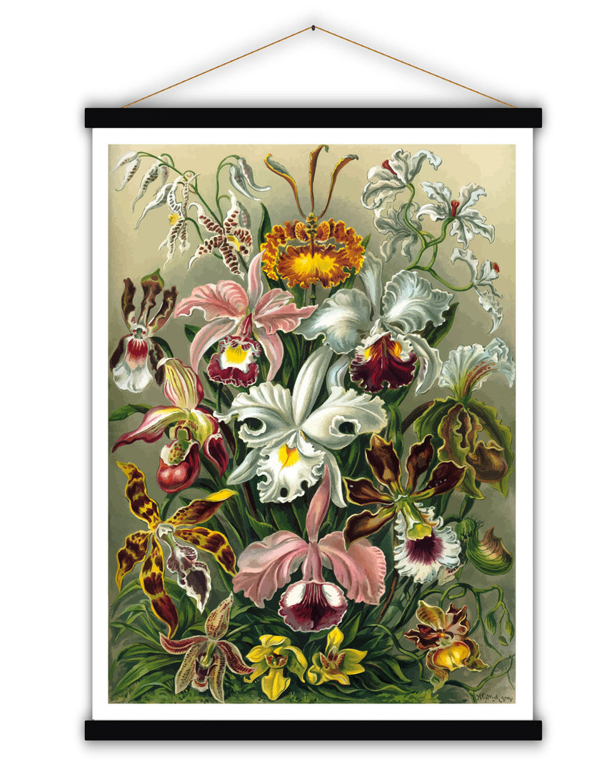 Orchidae - Blue Shaker - Poster Affiche -
