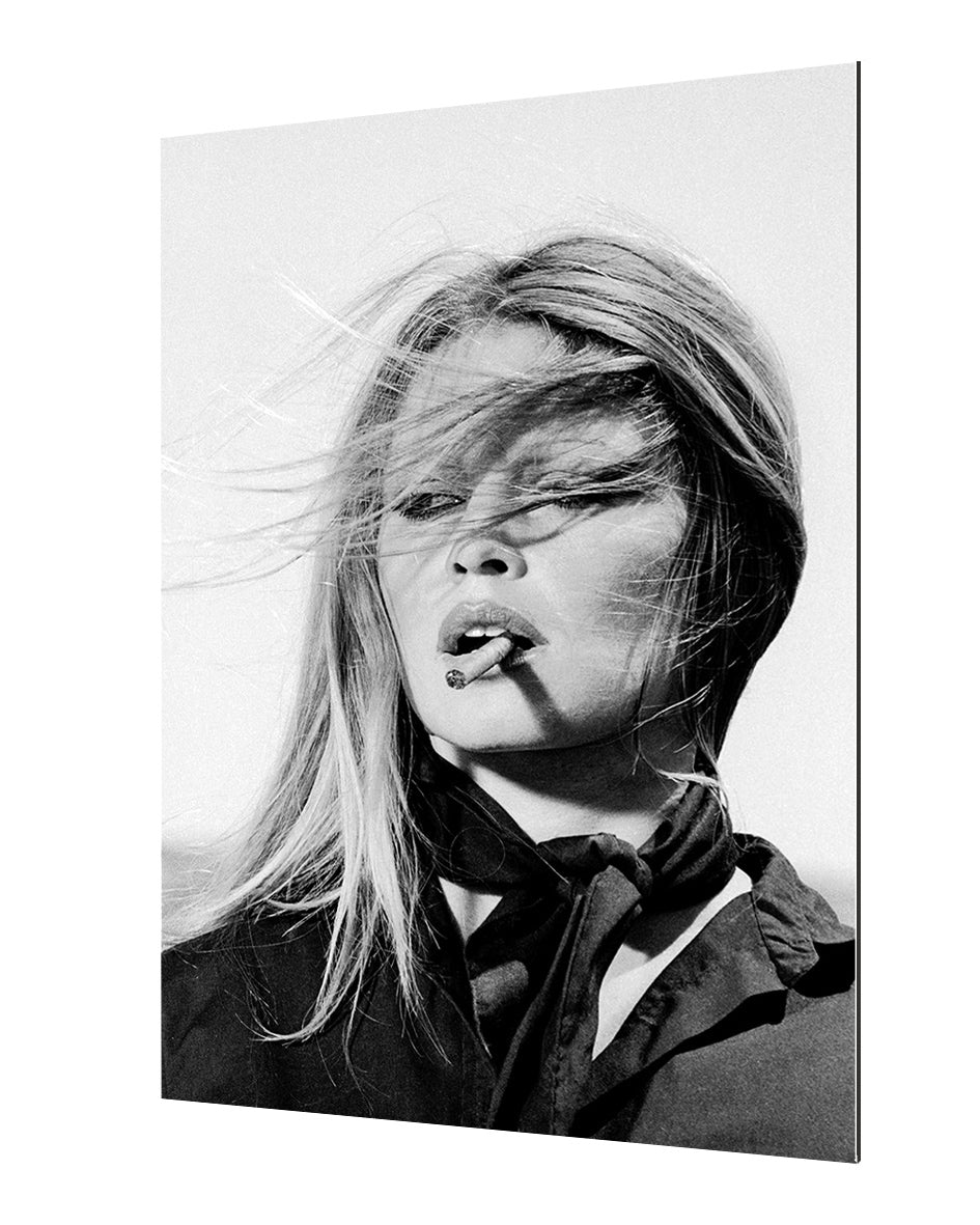 Brigitte Bardot Windy-bw-portrait, print-Alu Dibond 3mm-40 x 60 cm-BLUE SHAKER