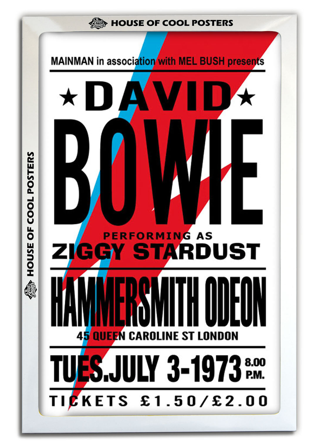 David Bowie-concerts, print-BLUE SHAKER
