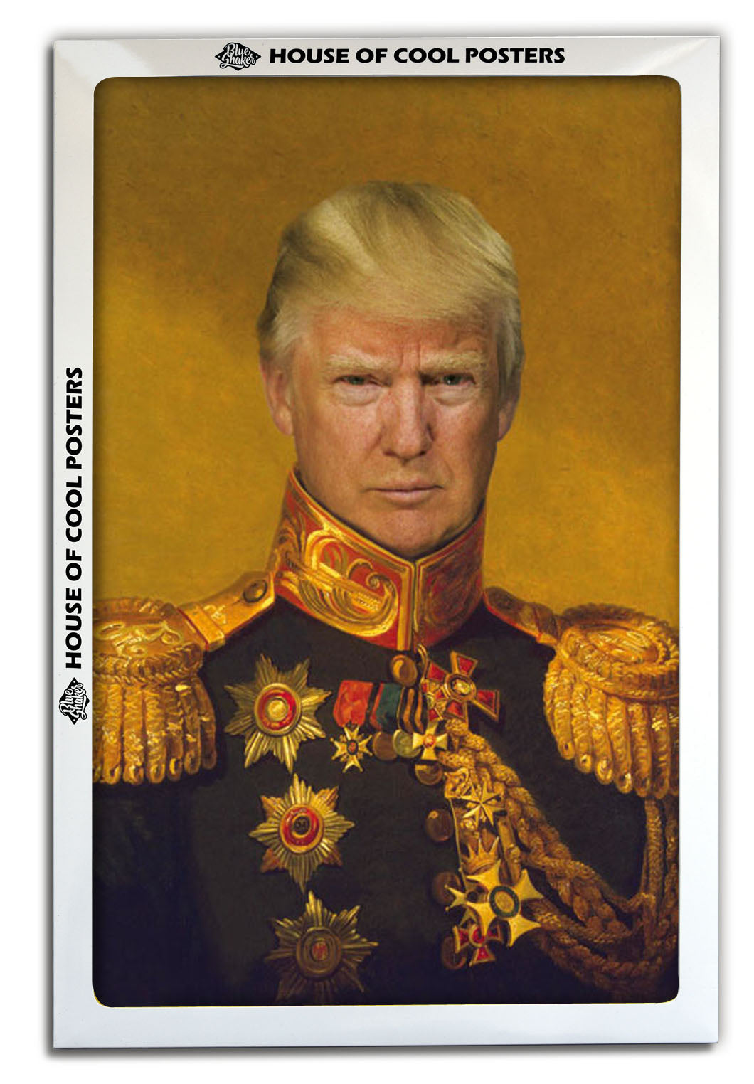 Military Trump-historical, print-BLUE SHAKER