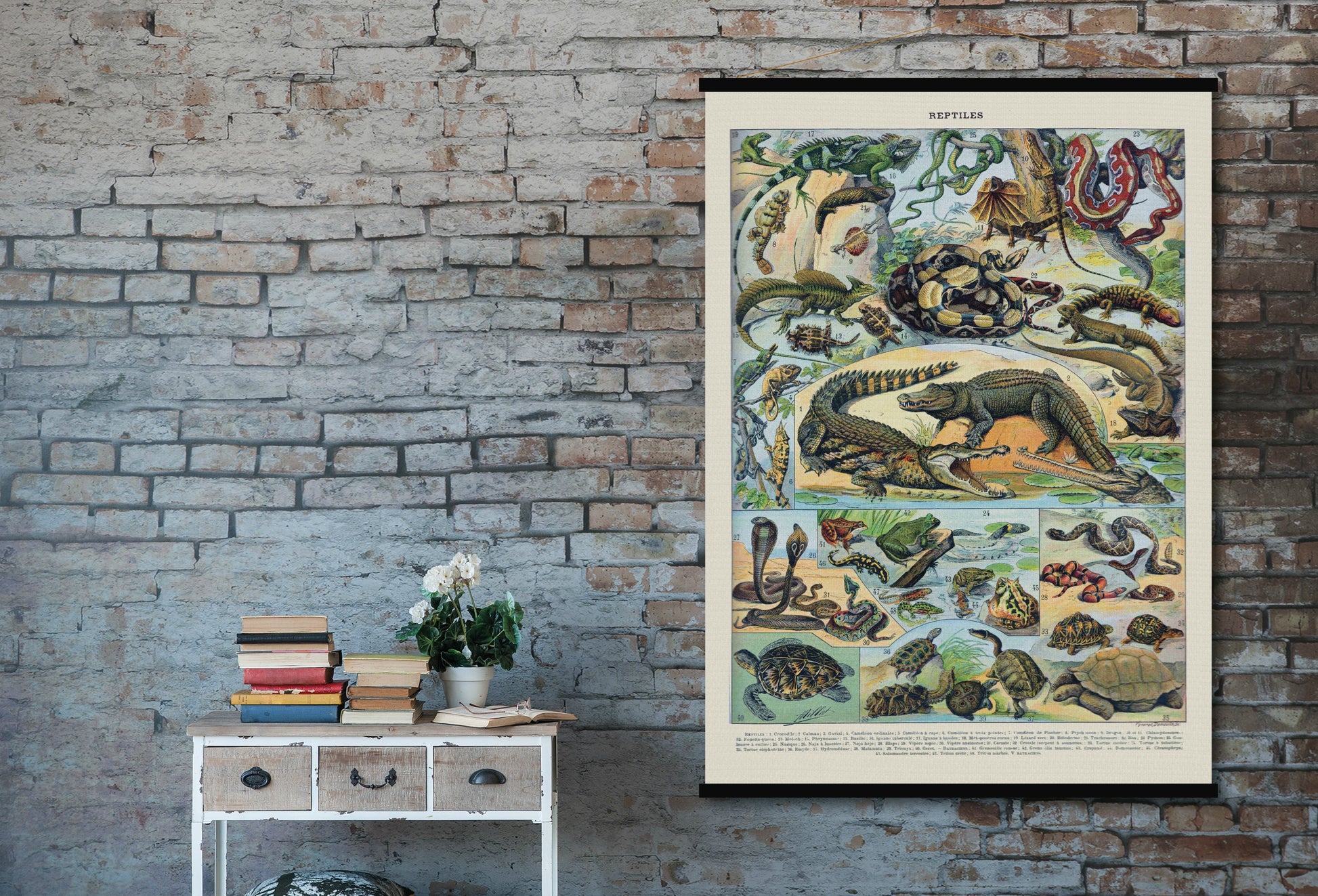 Reptiles - Blue Shaker - Poster Affiche -