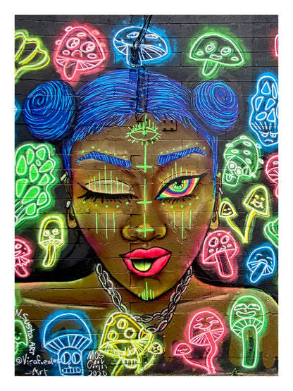 Street Art – Chicago 1-print, street-art-Print-30 x 40 cm-BLUE SHAKER