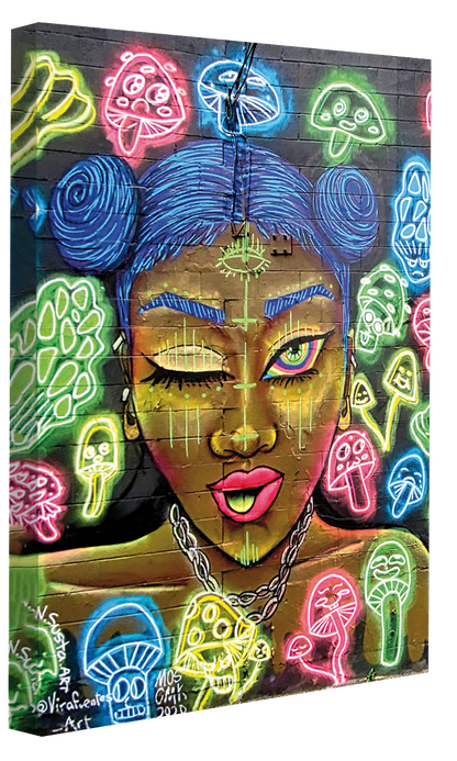Street Art – Chicago 1-print, street-art-Canvas Print - 20 mm Frame-50 x 75 cm-BLUE SHAKER