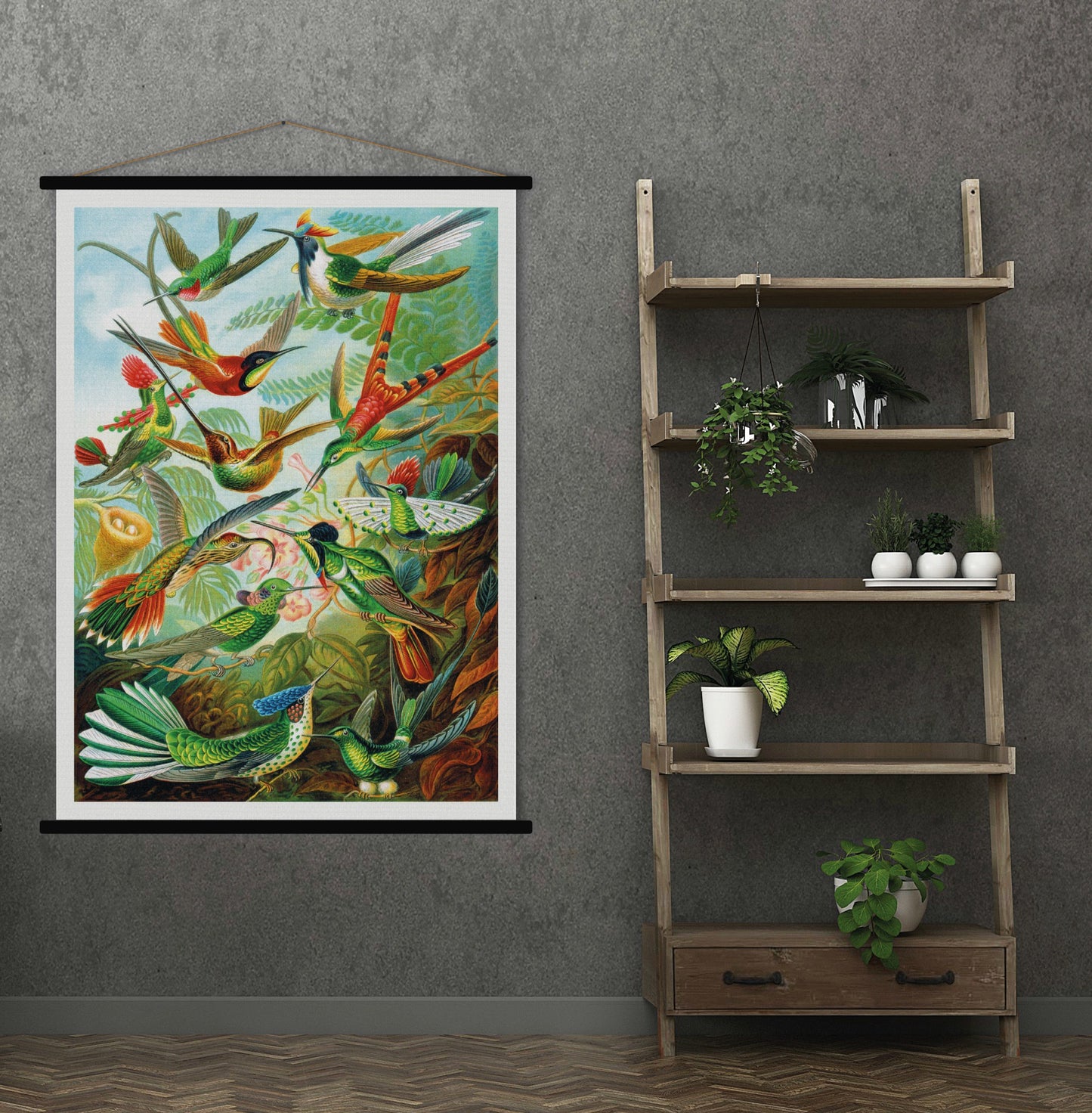 Trochilidae - Blue Shaker - Poster Affiche -