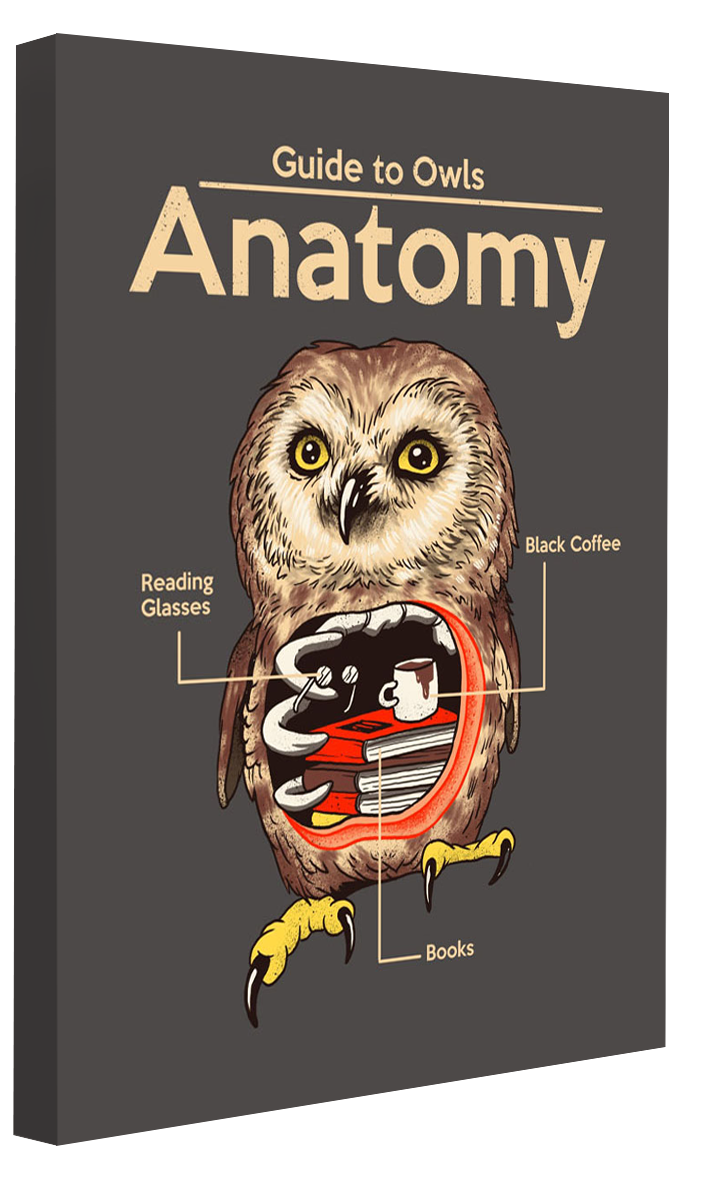 Anatomy of Owls-print, vincent-trinidad-Canvas Print - 20 mm Frame-50 x 75 cm-BLUE SHAKER