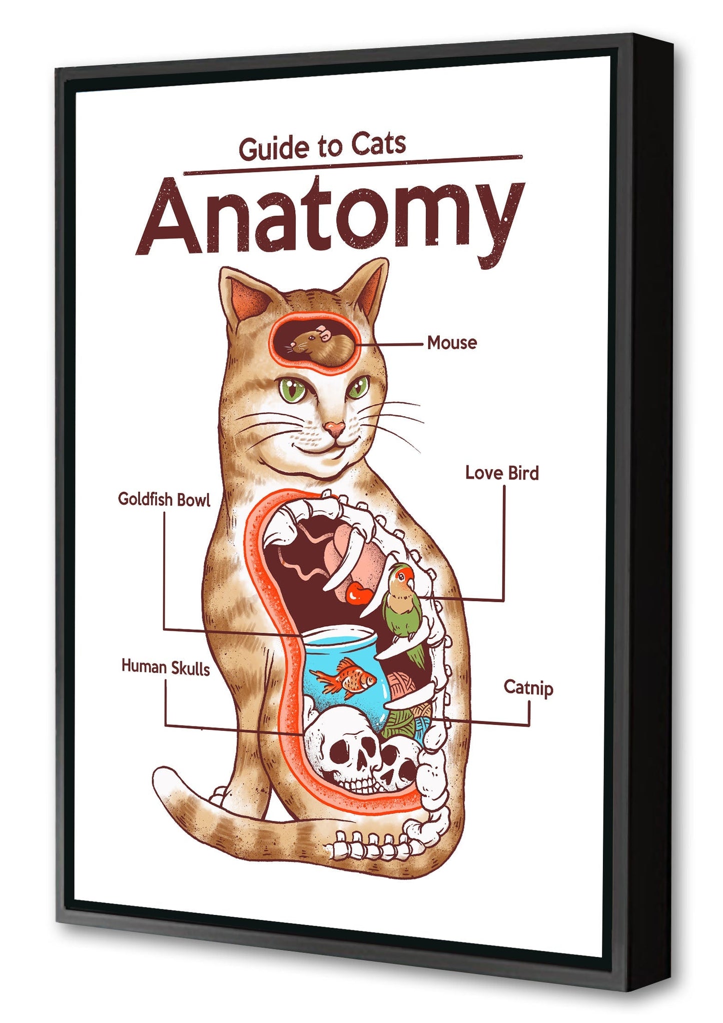 Anatomy of a Cat-print, vincent-trinidad-Canvas Print with Box Frame-40 x 60 cm-BLUE SHAKER