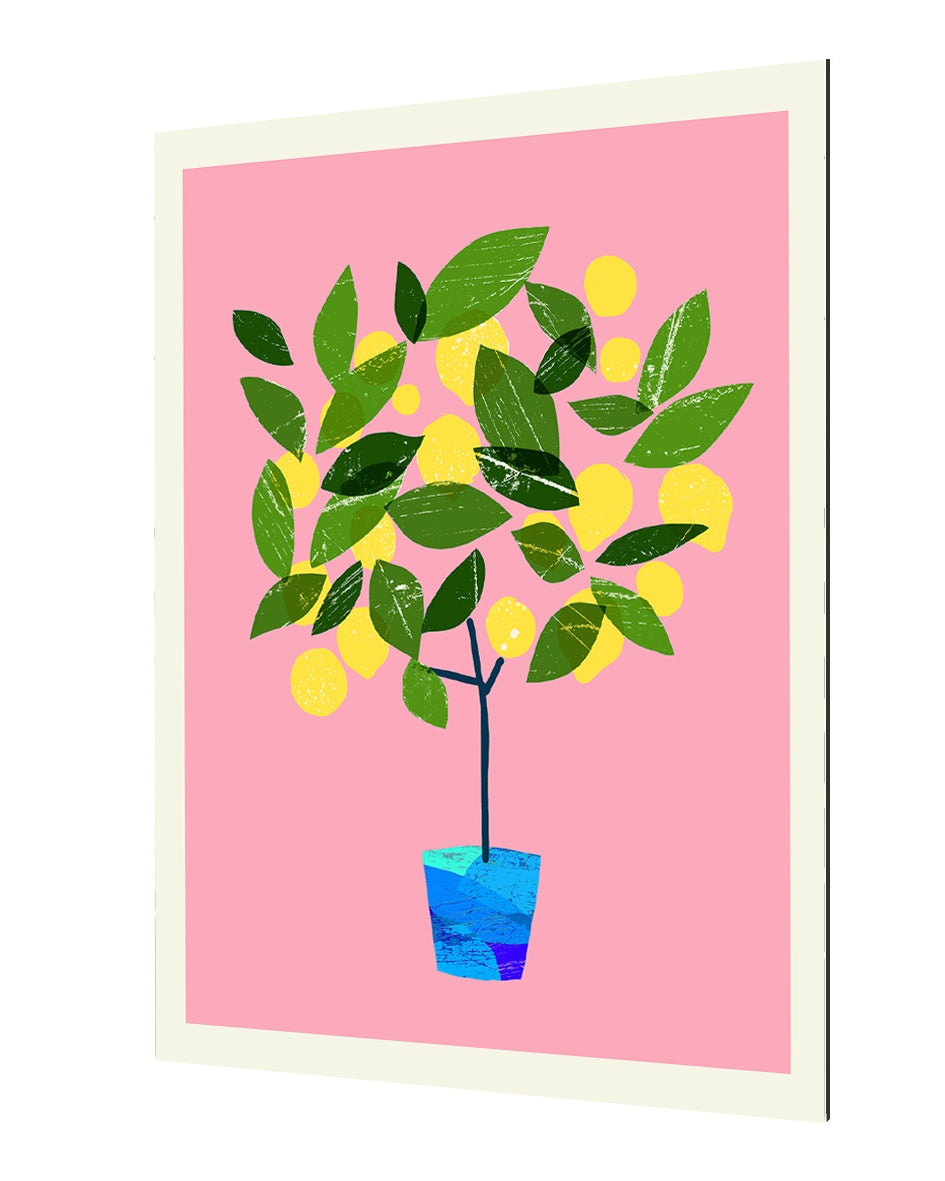 Ana Zaja Petrak -  Meyer Lemon