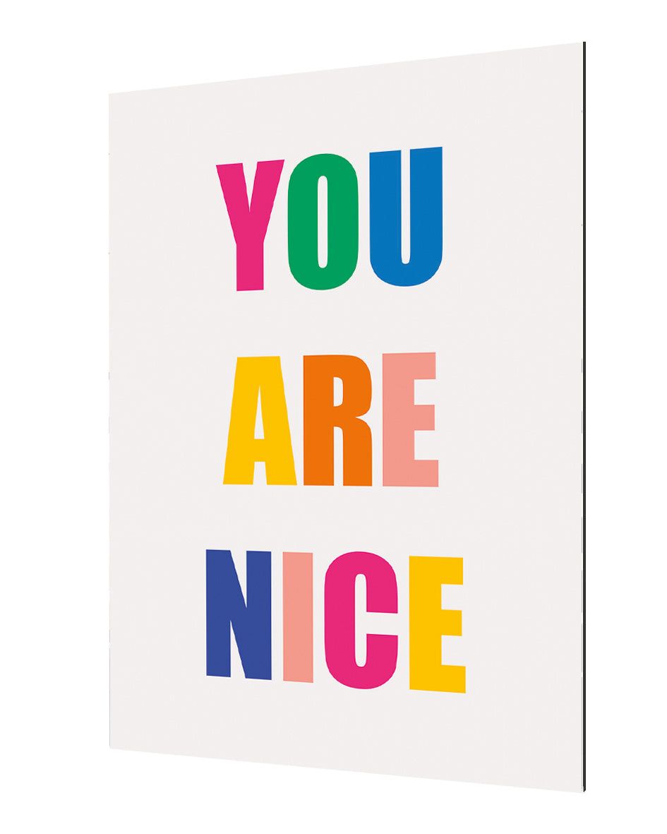 Dicky Bird -  You Are Nice