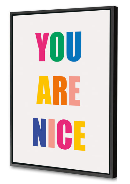 Dicky Bird -  You Are Nice