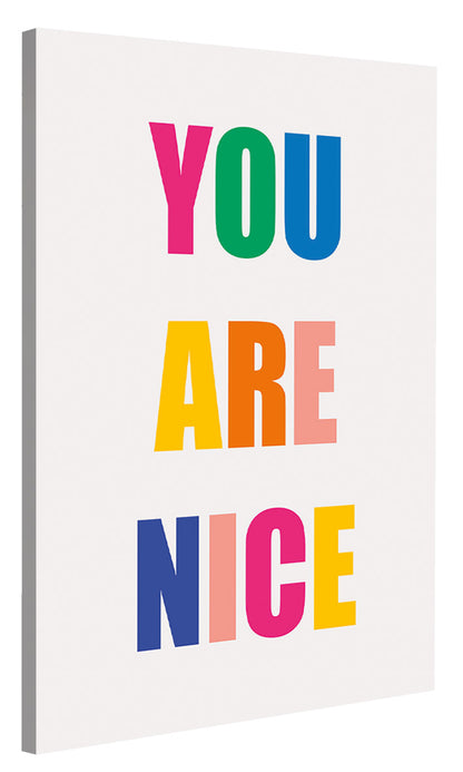 Dicky Bird -  You Are Nice