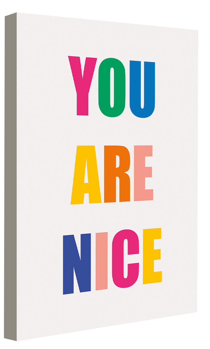 Dicky Bird -  You Are Nice