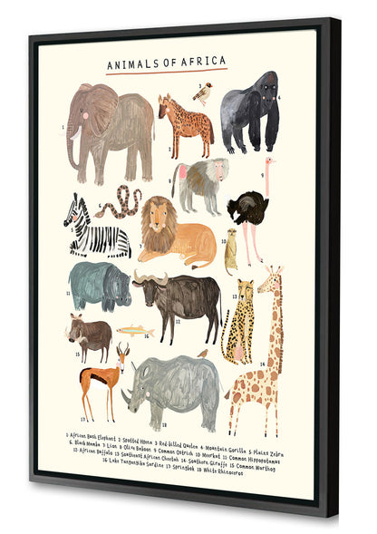 Darcie Olley -  Animals Of Africa