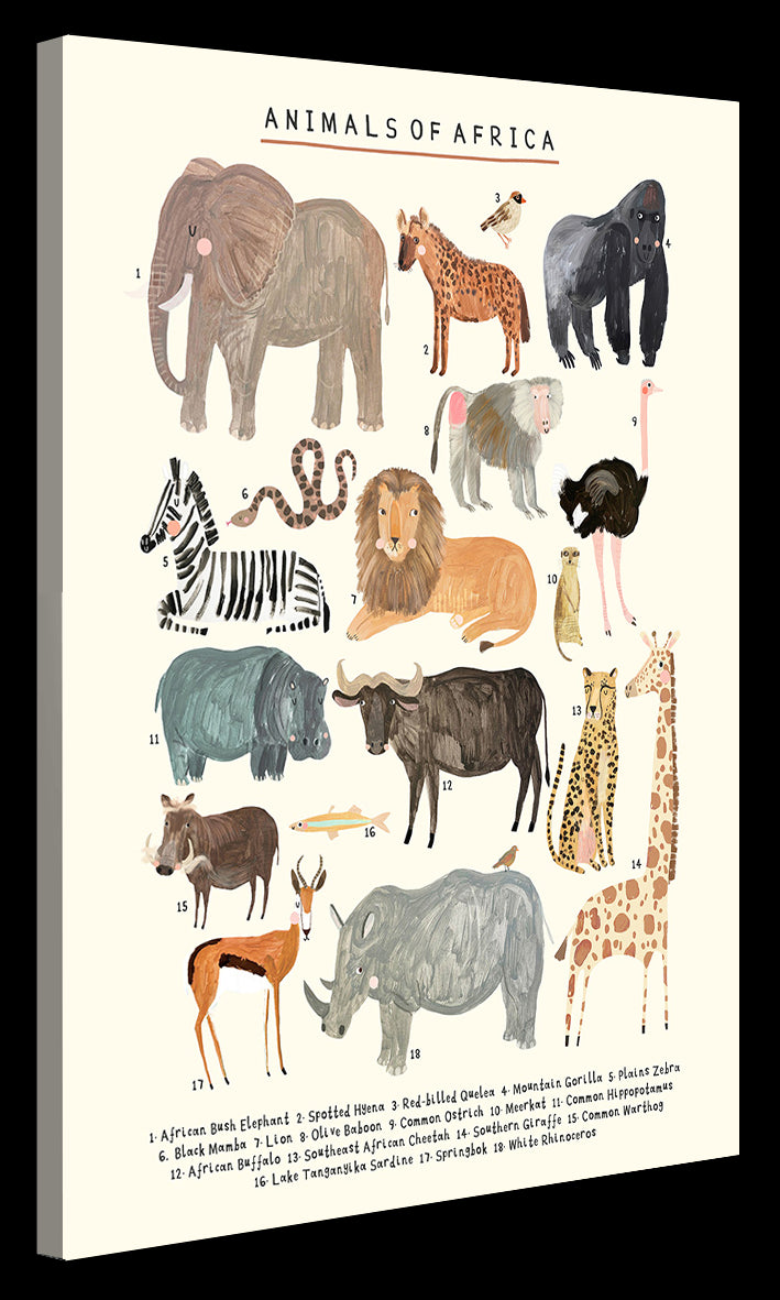 Darcie Olley -  Animals Of Africa