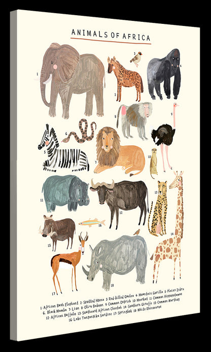 Darcie Olley -  Animals Of Africa