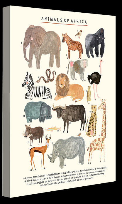 Darcie Olley -  Animals Of Africa