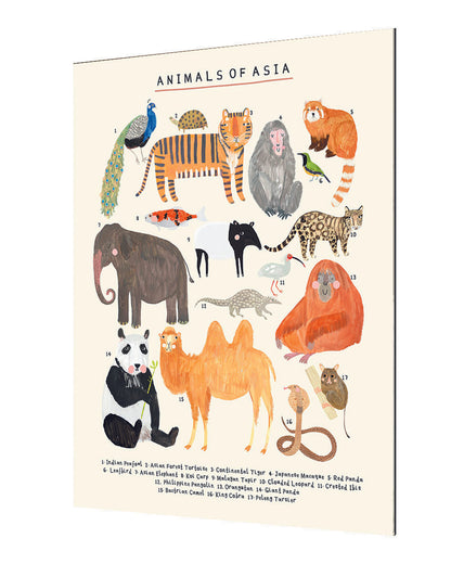 Darcy Olley -  Animals Of Asia