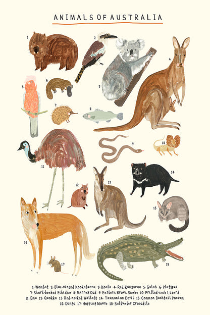 Darcie Olley -  Animals Of Australia