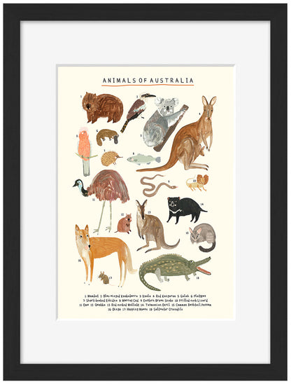 Darcie Olley -  Animals Of Australia