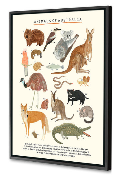 Darcie Olley -  Animals Of Australia