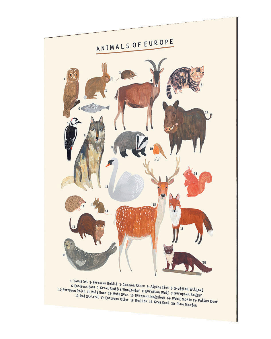 Darcie Olley -  Animals Of Europe