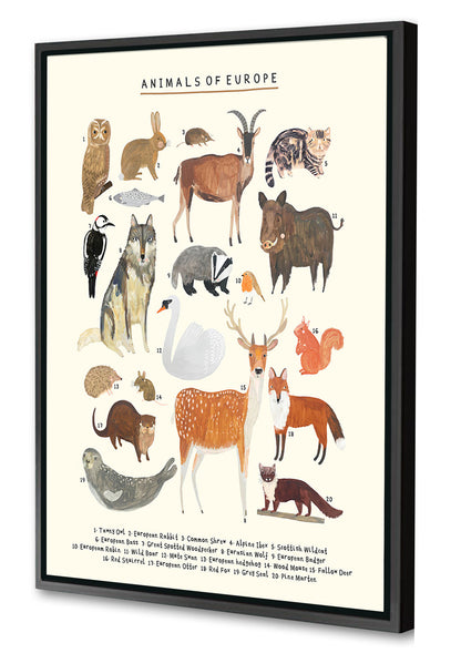 Darcie Olley -  Animals Of Europe