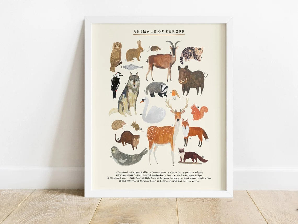 Darcie Olley -  Animals Of Europe