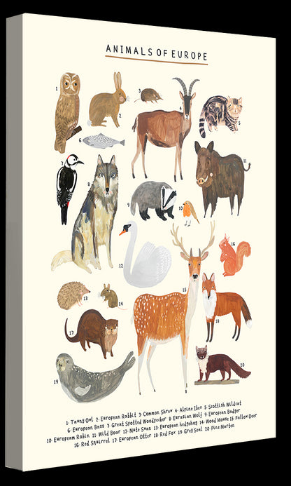 Darcie Olley -  Animals Of Europe