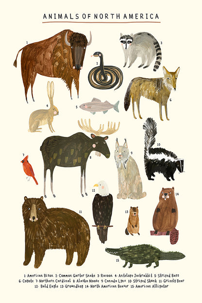 Darcie Olley -  Animals Of North America