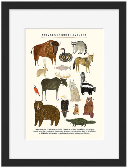 Darcy Olley -  Animals Of North America