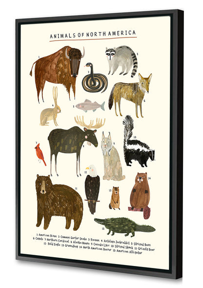 Darcie Olley -  Animals Of North America