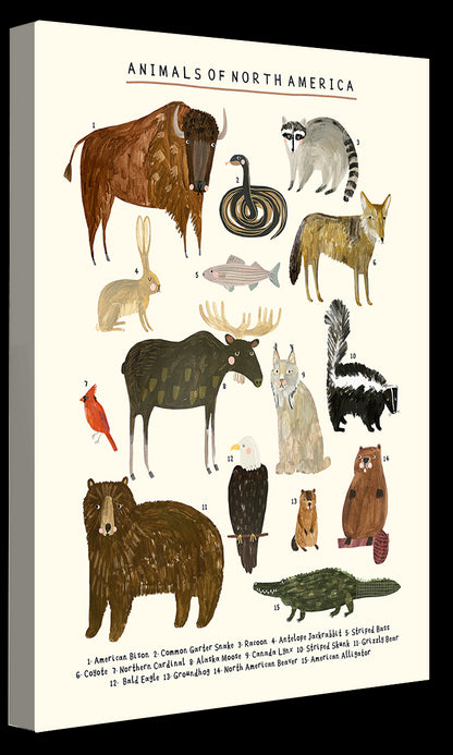 Darcie Olley -  Animals Of North America
