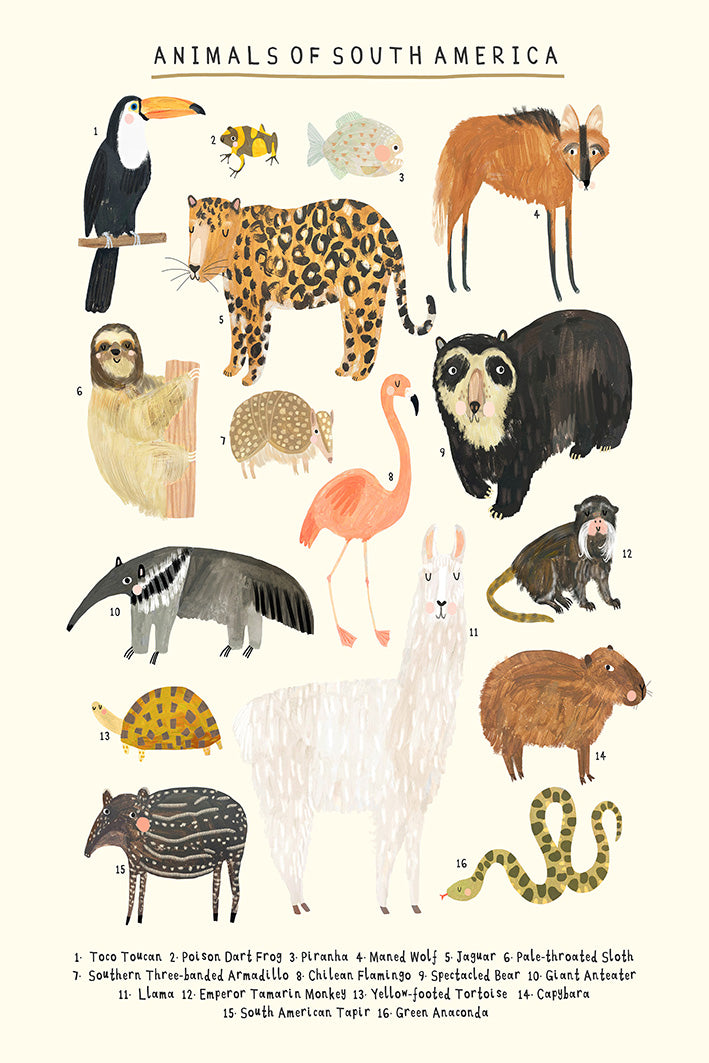 Darcie Olley -  Animals Of South America