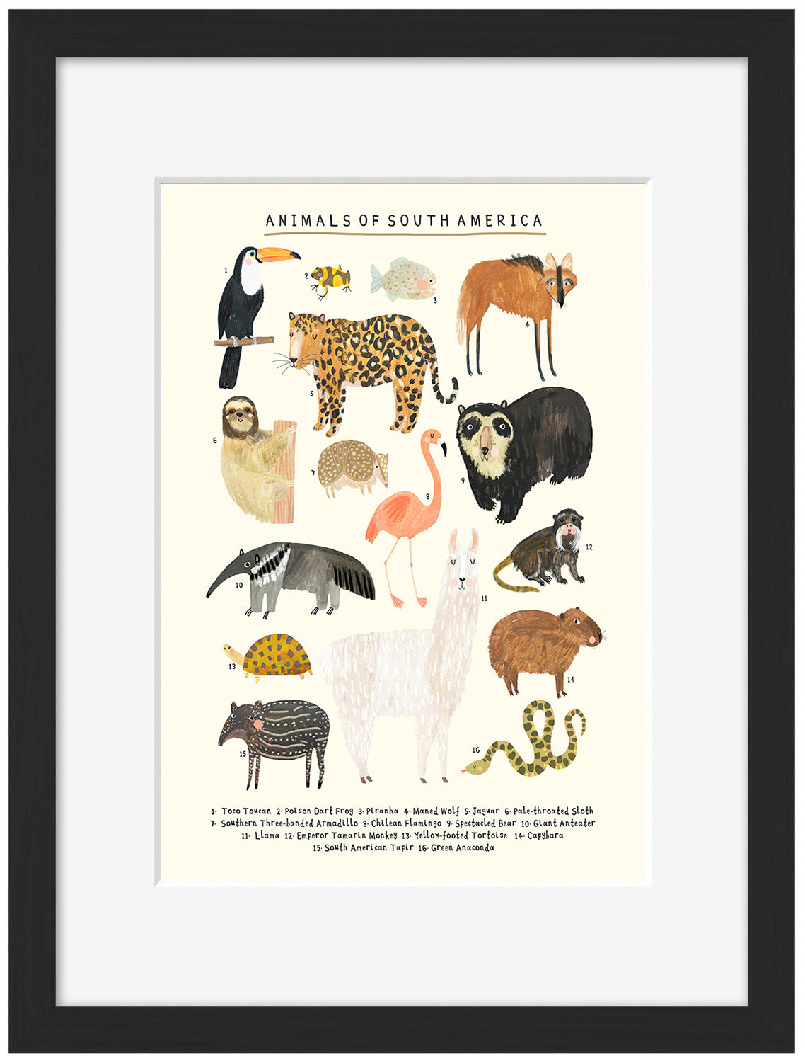 Darcie Olley -  Animals Of South America