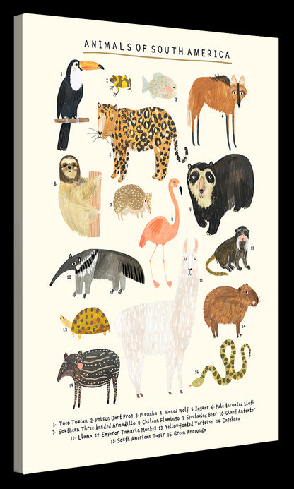 Darcie Olley -  Animals Of South America