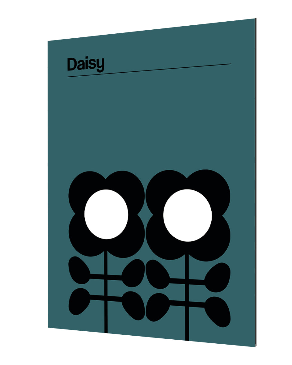 Frances Collett -  Daisy Teal