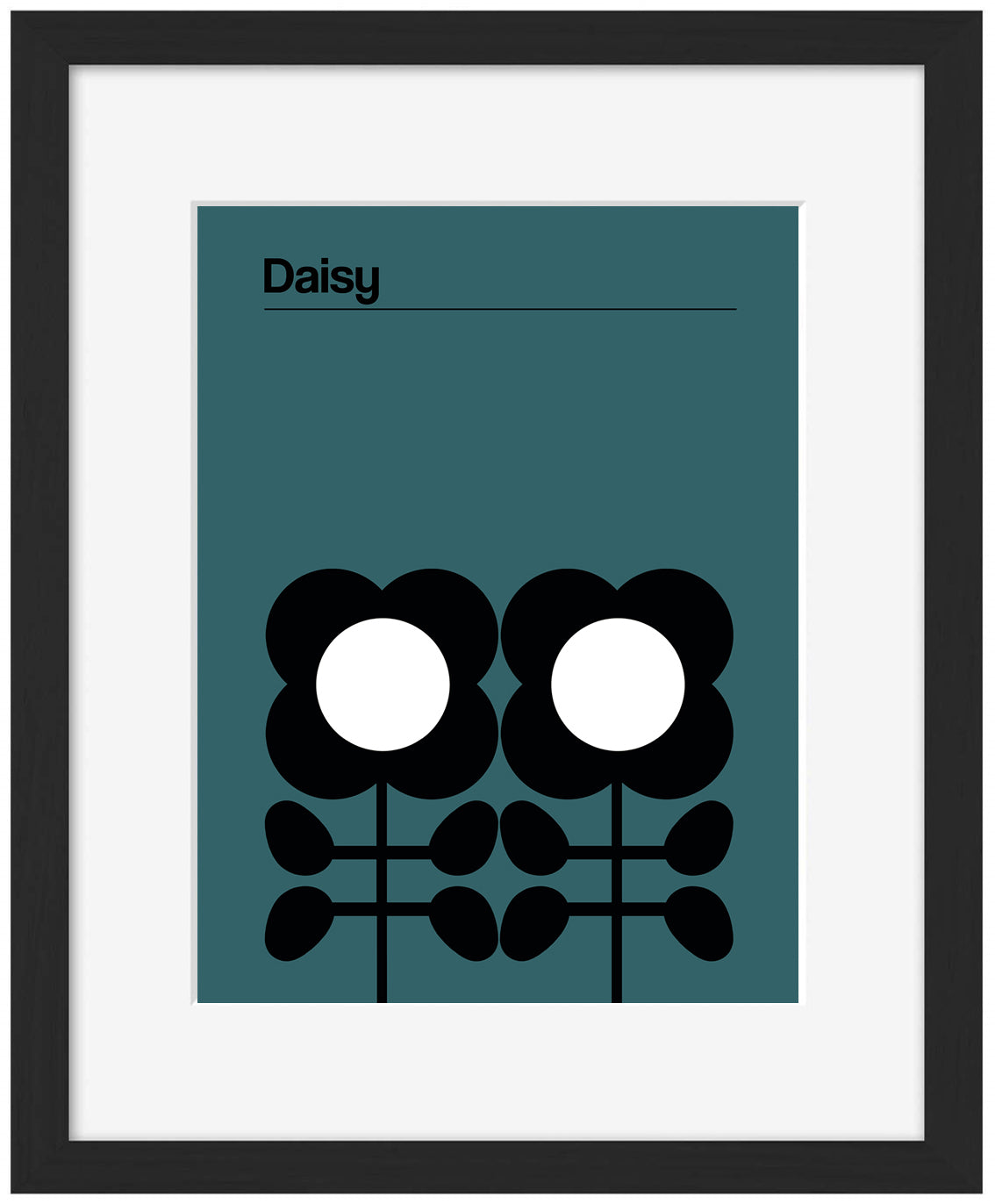 Frances Collett -  Daisy Teal