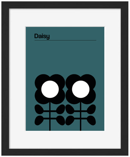 Frances Collett -  Daisy Teal