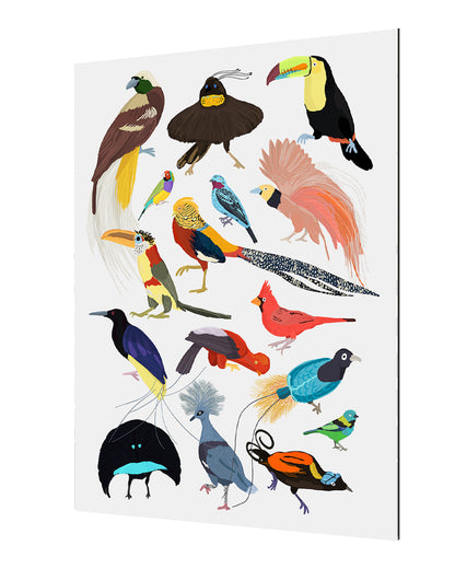 Hanna Melin -  Birds Of Paradise
