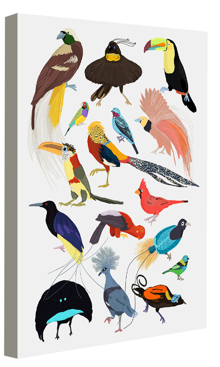 Hanna Melin -  Birds Of Paradise